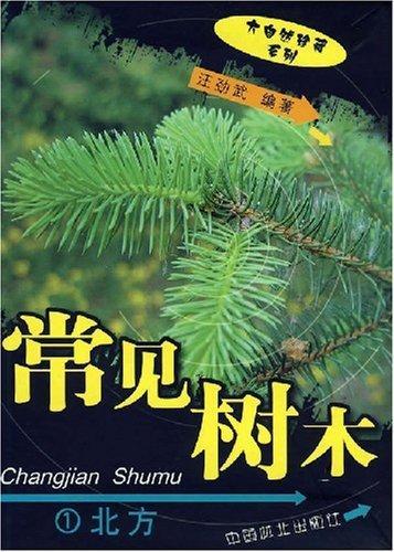 常见树木2:南方
