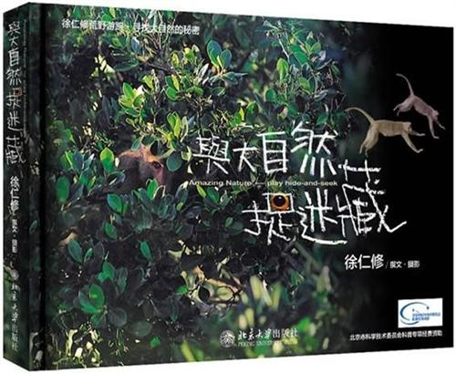 与大自然捉迷藏