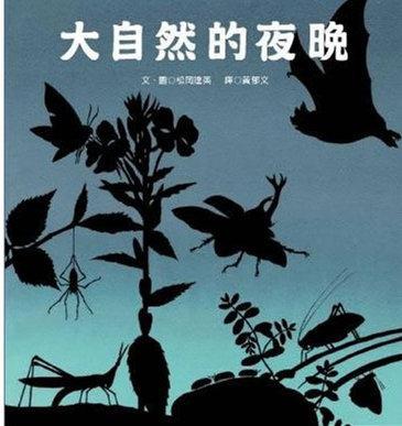 大自然的夜晚