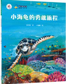 小海龟的勇敢旅程