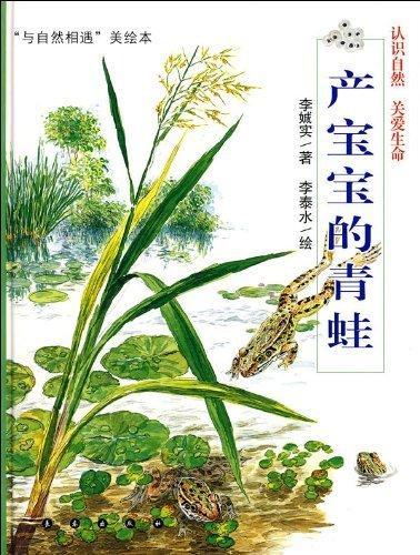 产宝宝的青蛙