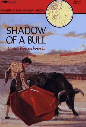 Shadow Of A Bull