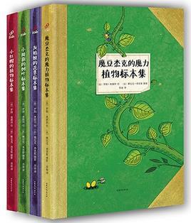 创意标本系列（全4册）