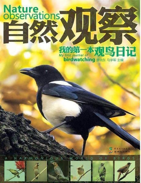 自然观察:我的第一本观察鸟日记