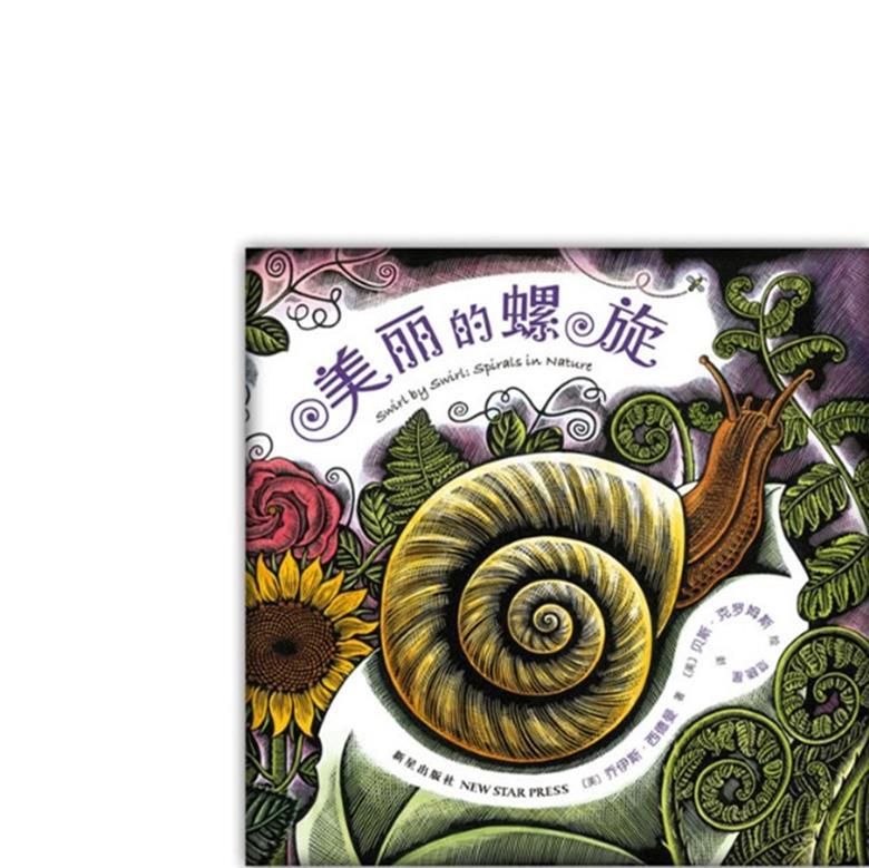 美丽的螺旋